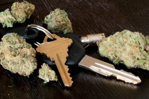 A set of car keys sitting on the table next to Marijuana. DUID Defense Concept